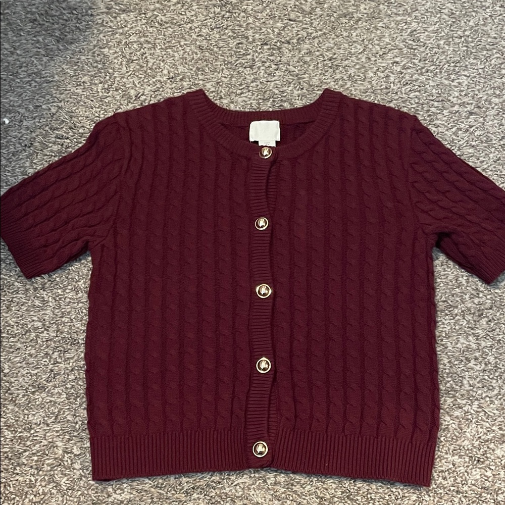 H&M Maroon Cable Knit Sweater